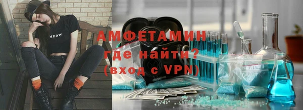 стаф Богданович