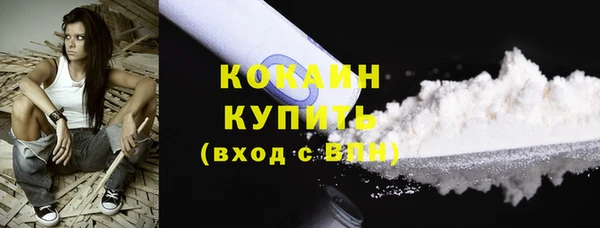 стаф Богданович