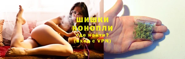 стаф Богданович