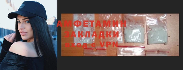 стаф Богданович