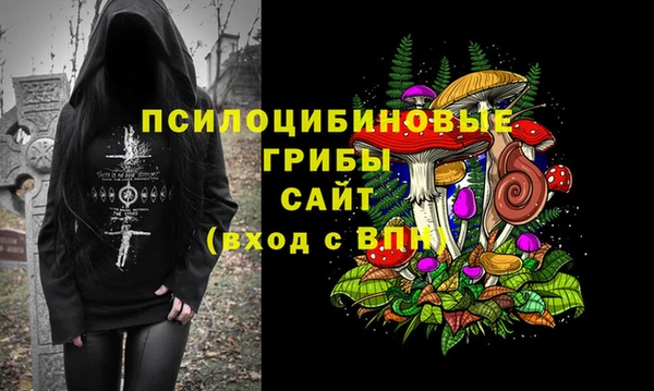 PSILOCYBIN Богородск