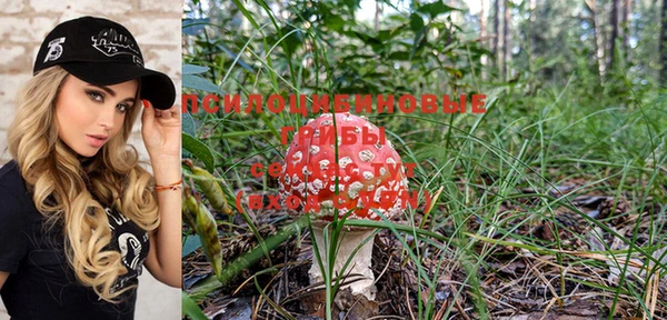 PSILOCYBIN Богородск