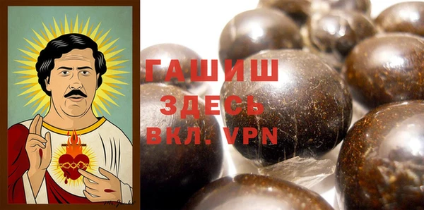 стаф Богданович