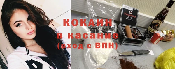 стаф Богданович